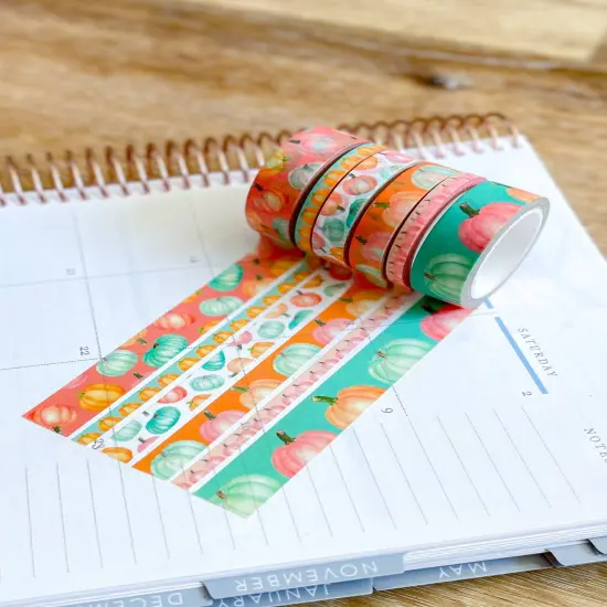 Pastel Boho Teal Pink & Orange Pumpkins Washi Tape Set (#W068) {6}