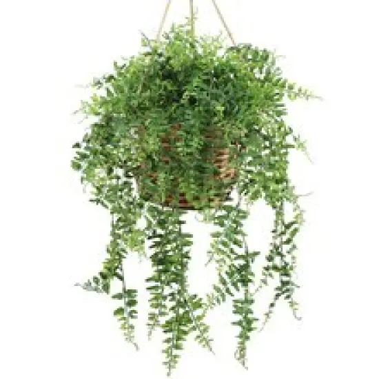 12-Pack: 25" Realistic Buckler Fern Bush with 90 Tips, Floral Home by Artificial Flowers {2}
