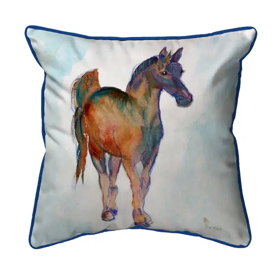 Betsy Drake Colt Watercolor Horse Extra Large 20 X 24 Indoor / Outdoor Pillow {1}