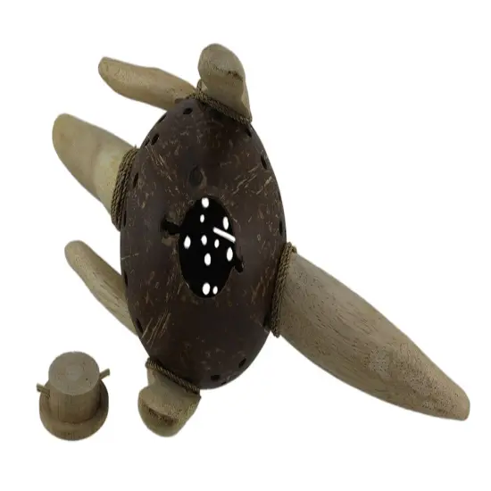 Dinosaurus Rex Wood & Coconut Shell Coin Bank {5}