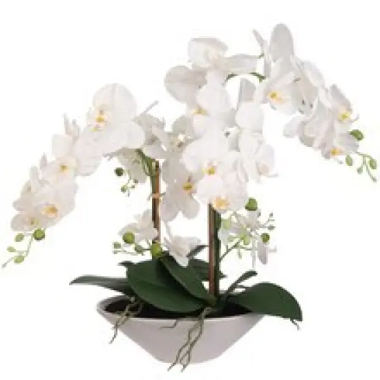 23" White Phalaenopsis Orchid - Faux Flowers, White Ceramic Vase, Elegant Decor for Home, Office, & Events - Perfect for Year-Round Display, Floral Home by Artificial Flowers {4}