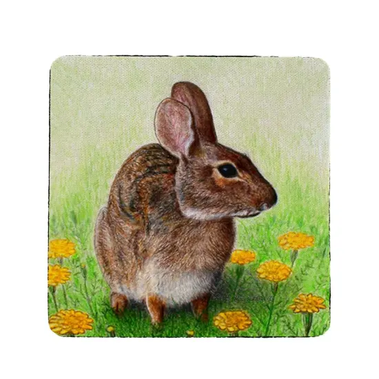 Betsy Drake Rabbit Neoprene Coaster Set of 4 {1}
