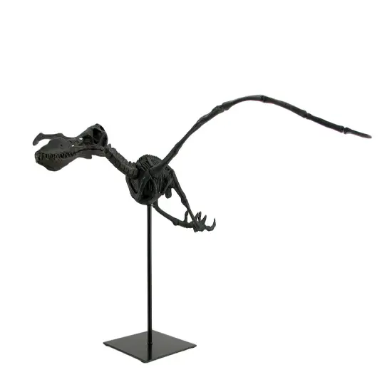 Museum Mounted Pterosaur Flying Dinosaur Fossil Replica Statue {3}