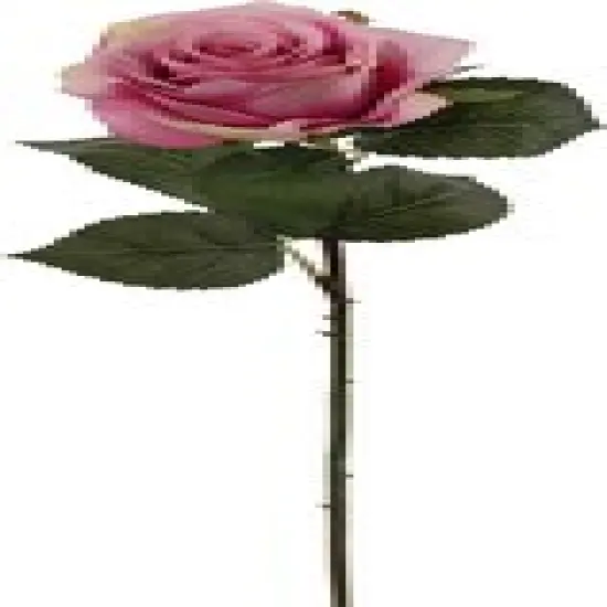 Rose Bud Stem - 48-Pack, Realistic Silk Foliage, Lifelike Blooms, Perfect for Floral Arrangements, Events & Home D&eacute;cor - Ideal for All Seasons, Floral Home by Artificial Flowers White {11}