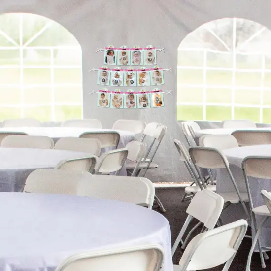 Big Dot of Happiness 1st Birthday Whole Llama Fun - DIY Llama Fiesta First Birthday Party Decor - 1-12 Monthly Picture Display - Photo Banner {4}