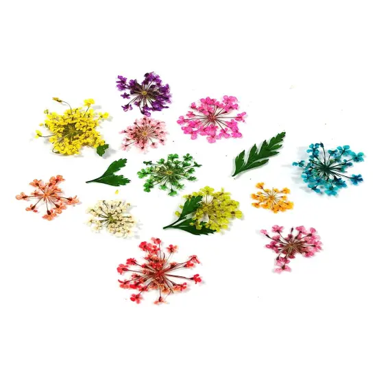 Wrapables Real Dry Flowers Nail Art 3d Flower Nail Decals Nail Manicure with Plastic Case (Set of 12), Sprig {2}