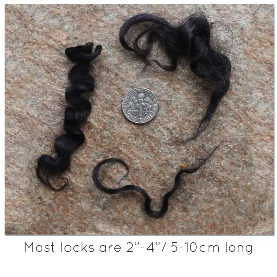 BLACK MOHAIR LOCKS. Organic Hand-Dyed Curly Wool for Rooting Doll Hair, Felting, Blending, Spinning. 1oz {3}