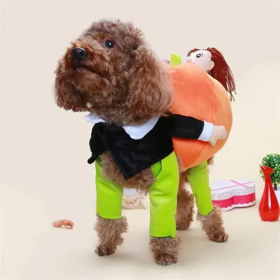 Pumpkin Mon - Halloween Pet Dog Costume {4}
