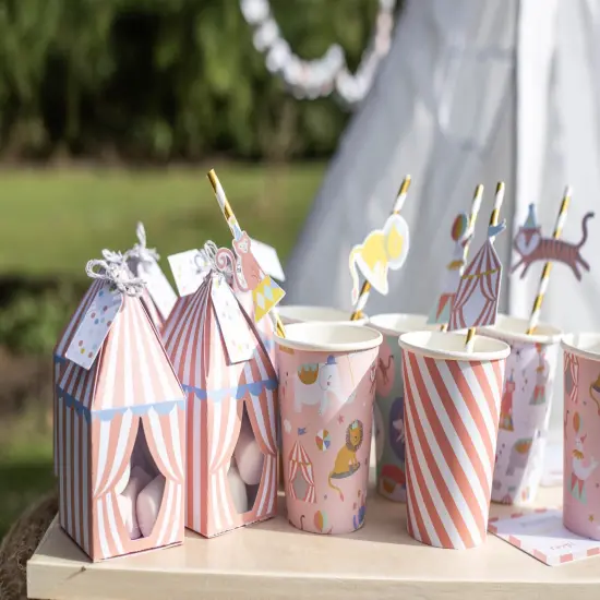 Violet Studio Treat Boxes 10/Pkg-Little Circus {2}