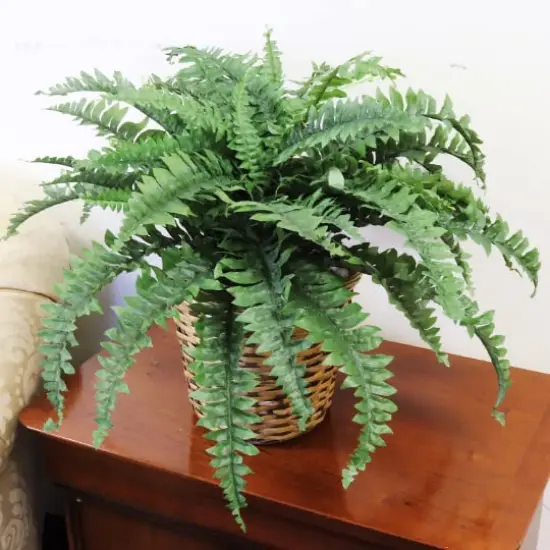 Premium Boston Fern x50, 34"D 2/PC: Lifelike Faux Greenery for Home Displays, Weddings & Centerpieces, Ideal Event & Home Decor {2}