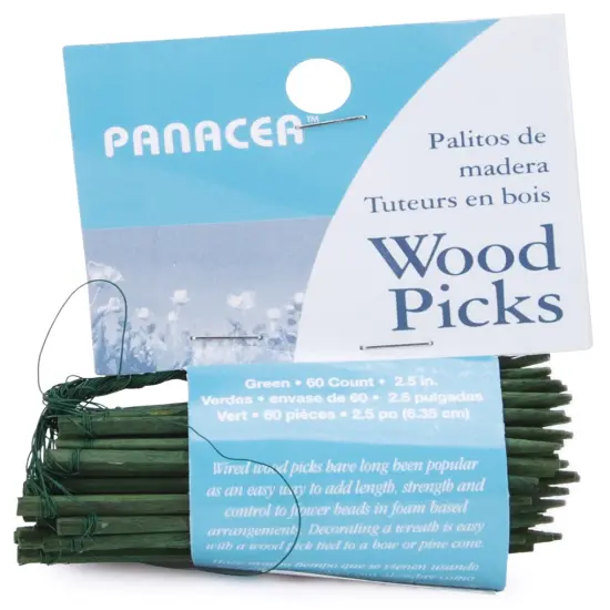 Panacea Wood Picks 2.5" 60/Pkg-Green {1}
