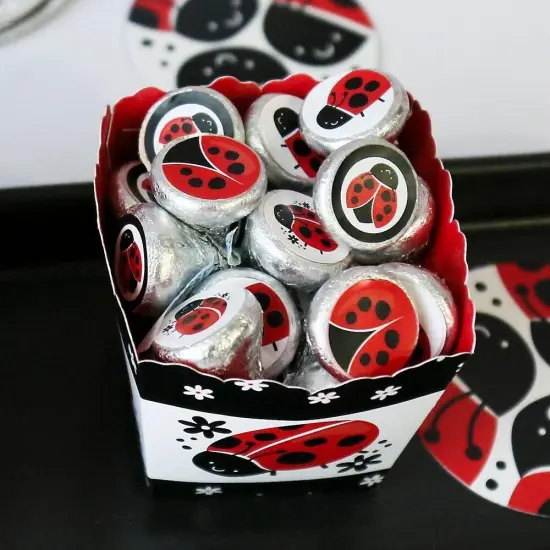 Big Dot of Happiness Happy Little Ladybug - Baby Shower or Birthday Party Round Candy Sticker Favors - Labels Fits Chocolate Candy (1 sheet of 108) {6}