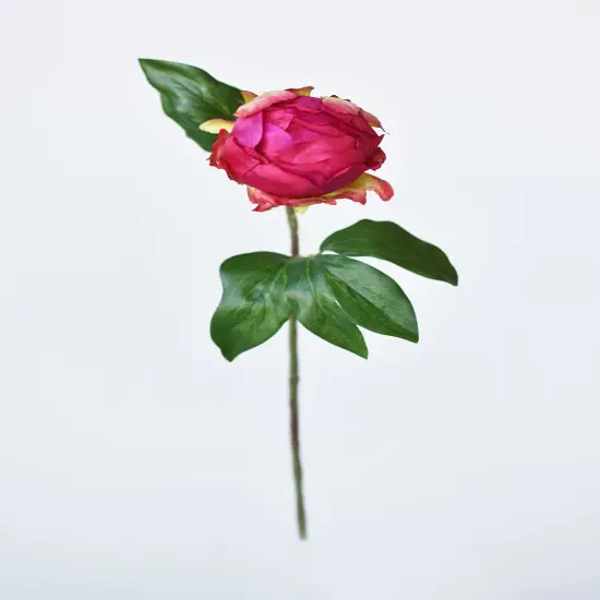 18" Faux Peony Bud Stem Fuchsia {2}