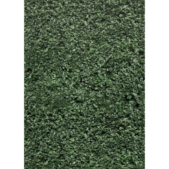 Better Than Paper&reg; Bulletin Board Roll, 4' x 12', Boxwood Design, 4 Rolls {1}