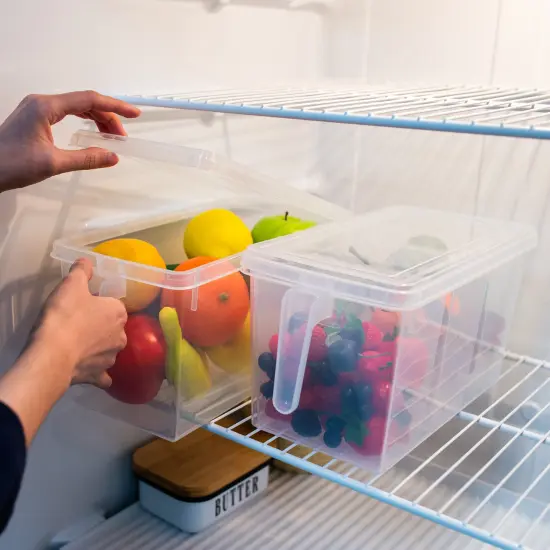 7Penn Multi Compartment Food Container 2pk - Airtight Vegetable Tray with Lid {6}