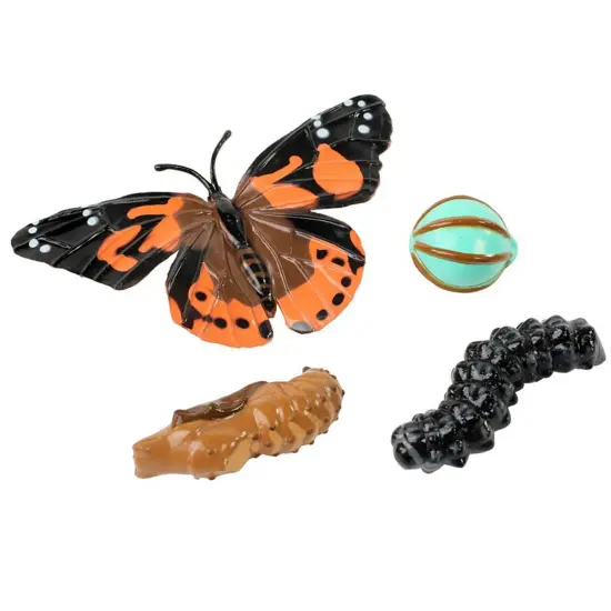 Butterfly Life Cycle Stages Figurines, 4 Per Set, 2 Sets {3}