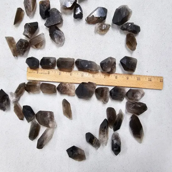 Smoky Quartz Points Bulk Natural Smokey Crystals {5}