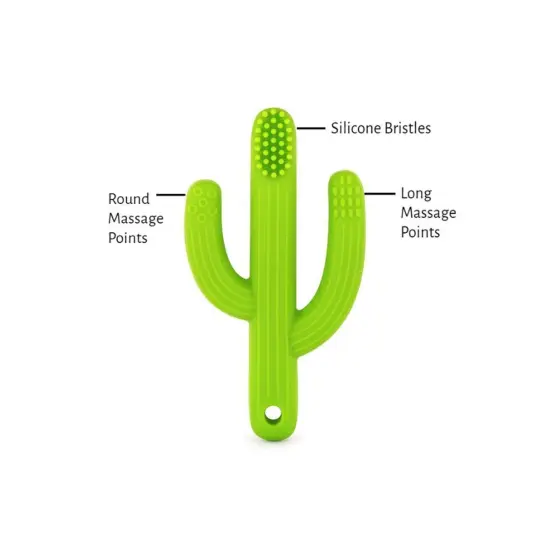 Cactus Toothbrush Teether, Pack of 3 {4}