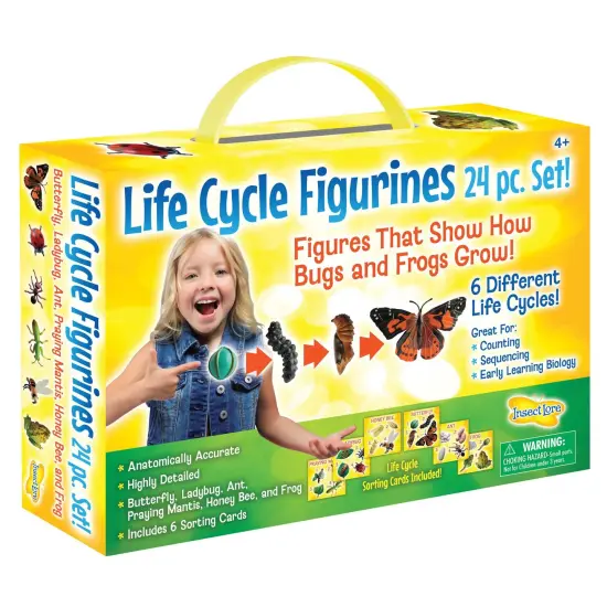 Life Cycle Figurines Set, 24 Pieces {1}