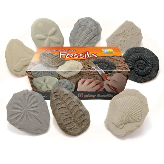 Let's Investigate Fossil Stone, Pack of 8 {1}