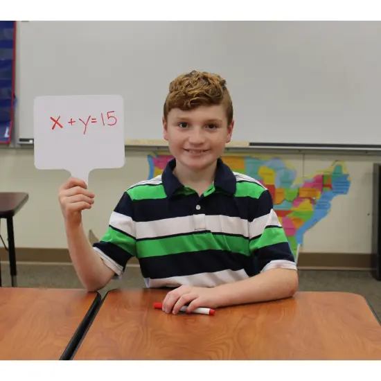 Two-Sided (3/8" Graph/Blank) Rectangular Dry Erase Graphing Paddles, Class Pack of 12 {3}