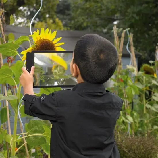Large Sheet Magnifier, 8.7" x 5.5", Pack of 3 {4}
