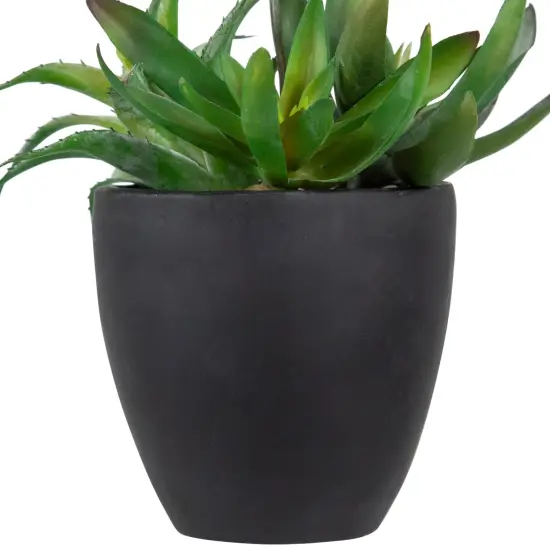 Northlight Potted Green Artificial Mixed Succulent Plant Arrangement - 11" {6}