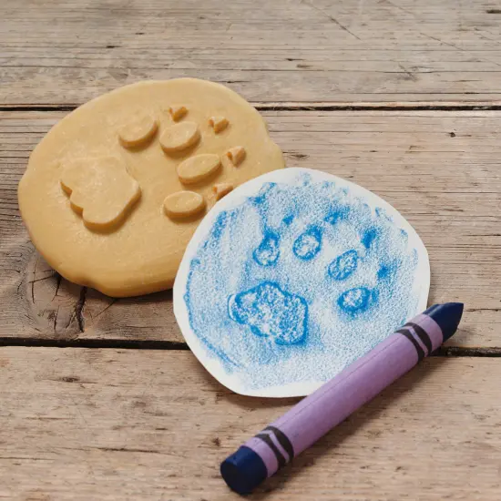 Let's Investigate Safari Footprints {3}