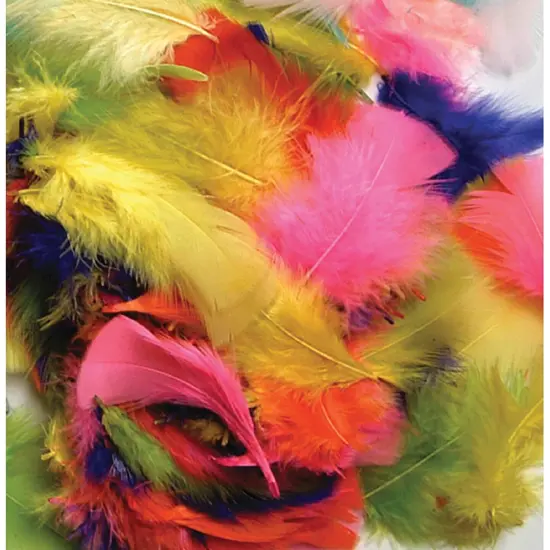 Turkey Plumage Feathers, Assorted Bright Hues, Assorted Sizes, 14 grams Per Pack, 12 Packs {5}