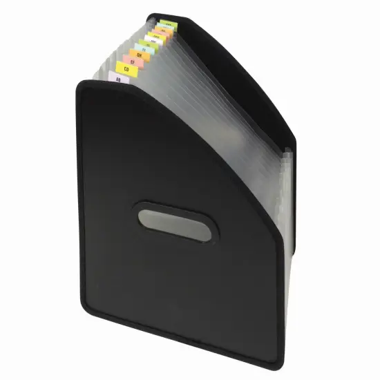 13-Pocket Vertical Expanding File, Black {1}