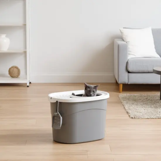 IRIS USA Oval Top Entry Cat Litter Box with Litter Catching Lid, Privacy Walls and Scoop Gray/White {6}