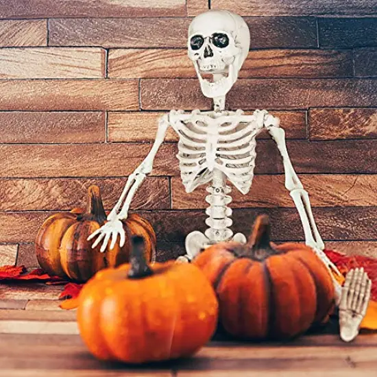 24 Inches Halloween Posable Skeleton, Full Body Skeleton Movable Joints, Plastic Bones for Hanging Halloween Decorations {5}