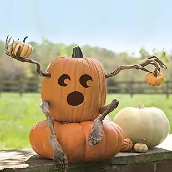 Plow & Hearth Set of 4 Bendable Pumpkin Arms and Legs | Create Whimsical Halloween Decor | Spooky Vine Design | Includes 2 arms and 2 Legs {2}