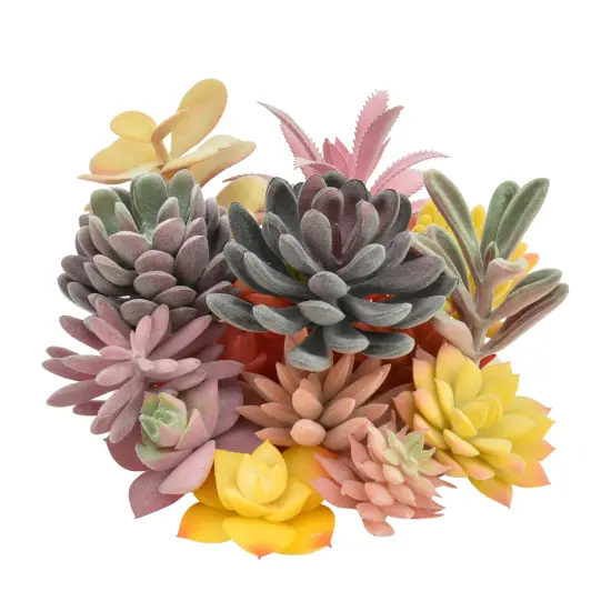 15 Pack Bulk Large Assorted Realistic Artificial Faux Succulents Aloe Plants Realistic Fake Succulent Plants, Largest Set of Succulents {1}