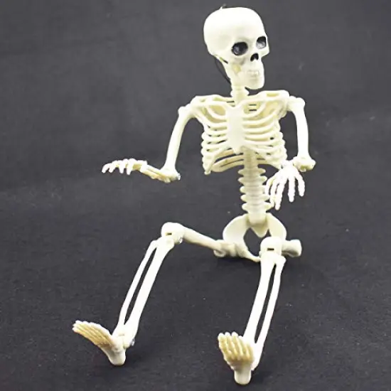 XONOR 16&rdquo; Posable Halloween Skeleton- Full Body Halloween Skeleton with Movable Joints for Haunted House Props Decorations (1pc) {6}
