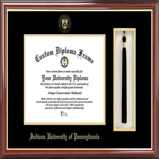 Indiana University of Pennsylvania 11w x 8.5h Tassel Box and Diploma Frame {1}