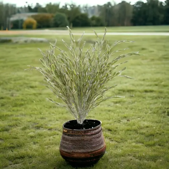 21-Inch Artificial Spiral Grass Bush - 12-Pack of Lifelike Greenery, Perfect for Home Decor, Office & Lobby Accents - All-Season Freshness, Floral Home by Artificial Flowers {4}