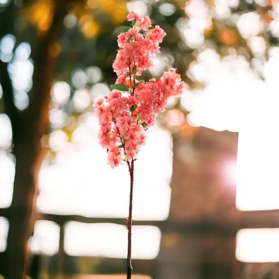 12-Pack: Massive Pink Cherry Blossom Spray by Floral Home&reg; {2}