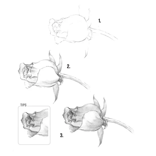 29 Pieces Drawing Pencils Sketch Pencil Art Supplies Set for Kids Adults beginners Professional Sketching Art Graphite Charcoal Blending Stump Pencils kit {6}