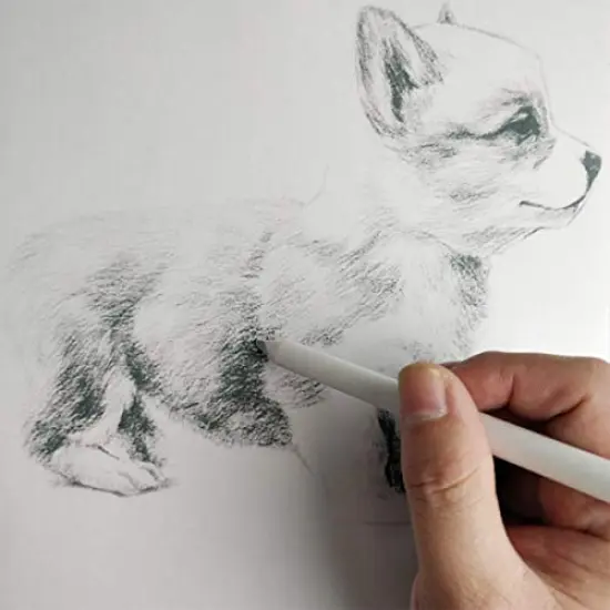 6 PCS Blending Stumps and Tortillions, Sketch Drawing Tools, Paper Art Blenders for Student Sketch Drawing {5}