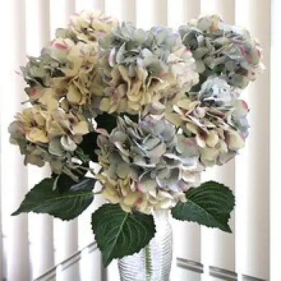UV Mixed Blue Hydrangea Bush with 7 Silk Flowers & Leaves by Floral Home&reg; {2}