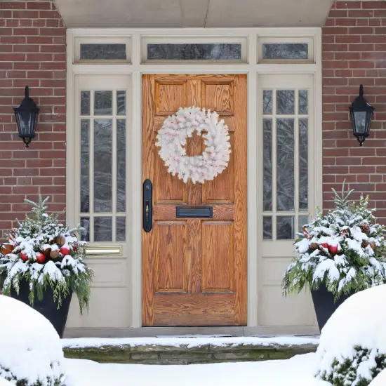 Northlight Pre-Lit Geneva Spruce Artificial Christmas Wreath - White - 24" - White - Pink Lights {3}