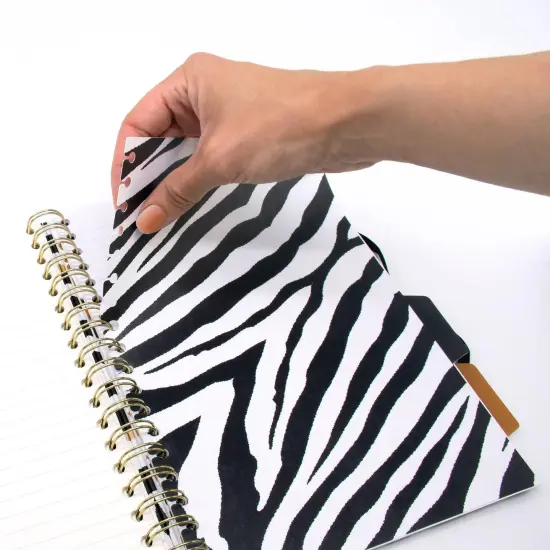 B5 Wild Project Book - Assorted - Pack 2 {3}