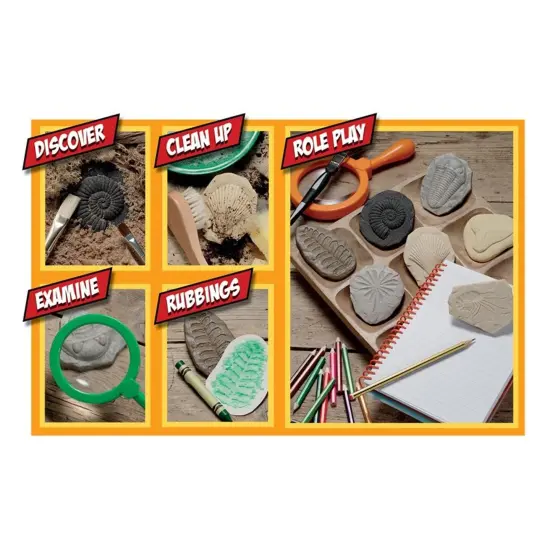 Let's Investigate Fossil Stone, Pack of 8 {2}