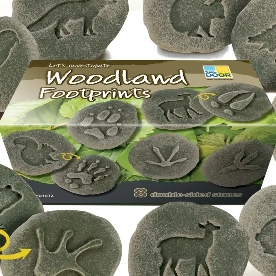 Let's Investigate Woodland Footprint Stones, Set of 8 {2}