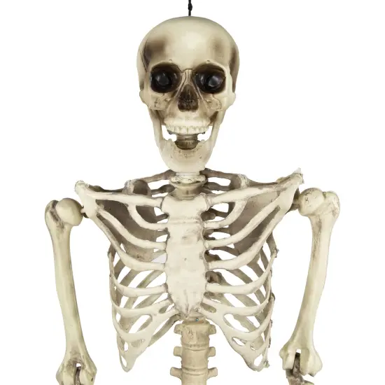 Northlight Life Size Skeleton Halloween Hanging Decoration - 5' Ivory {4}