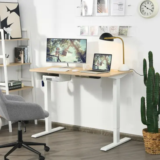 48 Inches Electric Standing Height Adjustable Computer Desk with USB Port and Cable Management tray Beige {2}