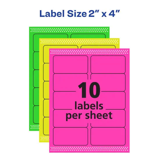 Avery Removable Multipurpose Labels, Sure Feed Technology, Assorted Neon, 2 x 4, 120 Labels (6481) {6}