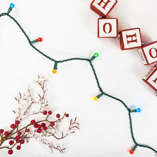 Northlight LED G12 Berry Christmas Lights - Multicolor - 16' Green Wire - 50ct {4}