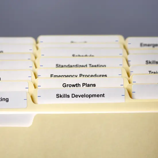 Avery Easy Peel Permanent File Folder Labels on 4" x 6" Sheets, 2/3" x 3-7/16", White, 3 Pack, 756 Labels Total (32131) {5}